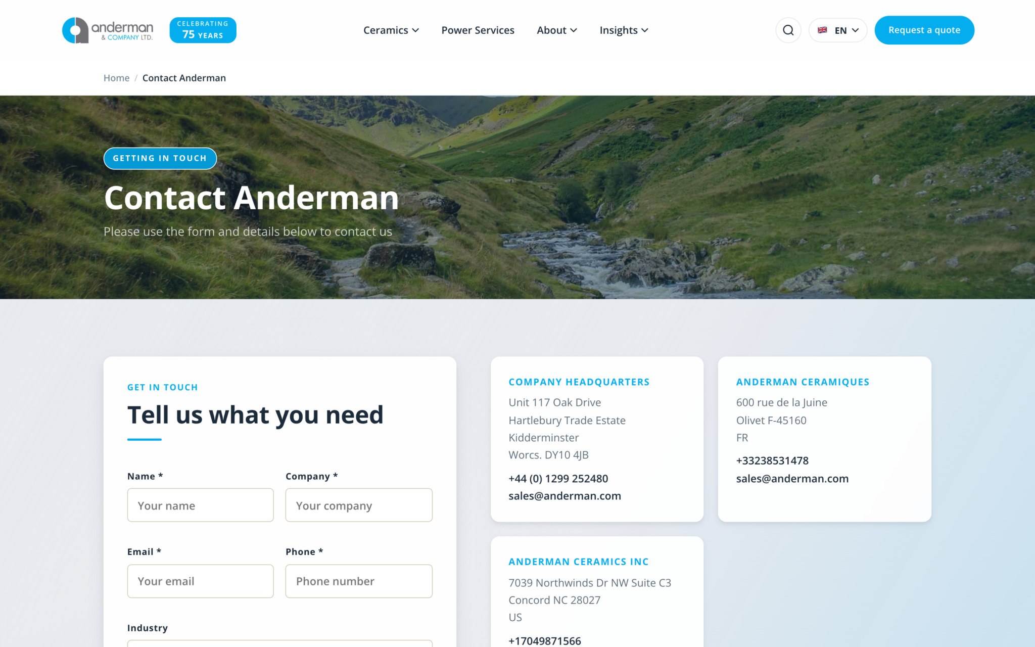 Anderman & Company